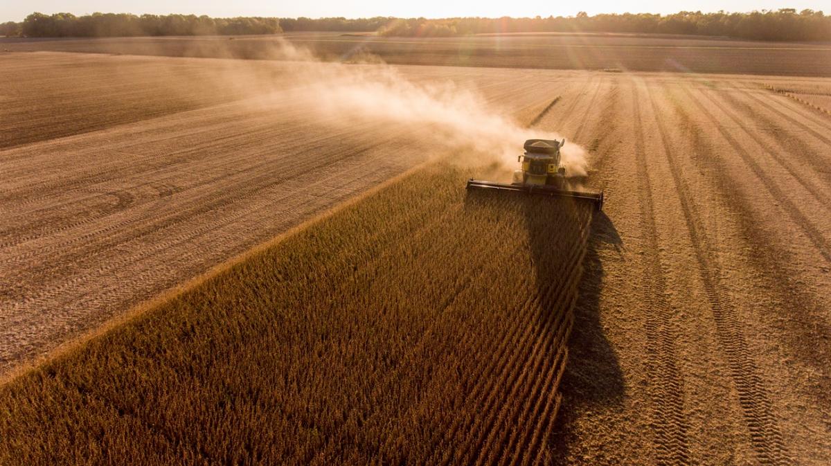 Colheita da soja passa dos 63% em Mato Grosso do Sul, conforme dados do Siga/MS