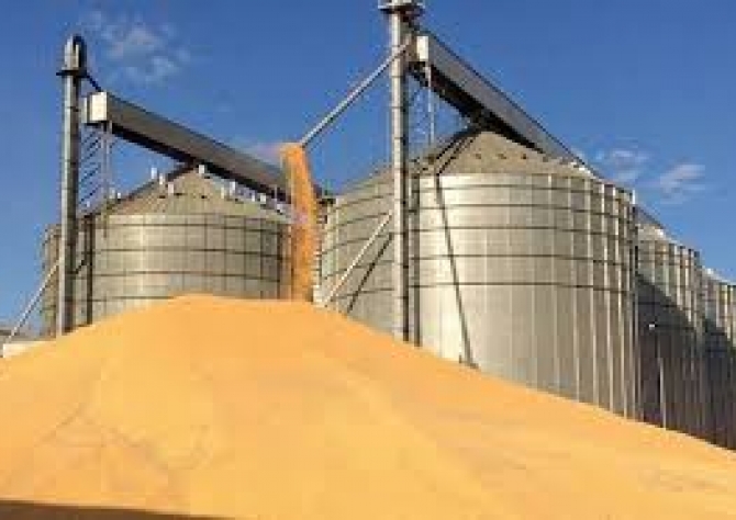 Agricultores e cooperativas em MS investem em silos para grãos