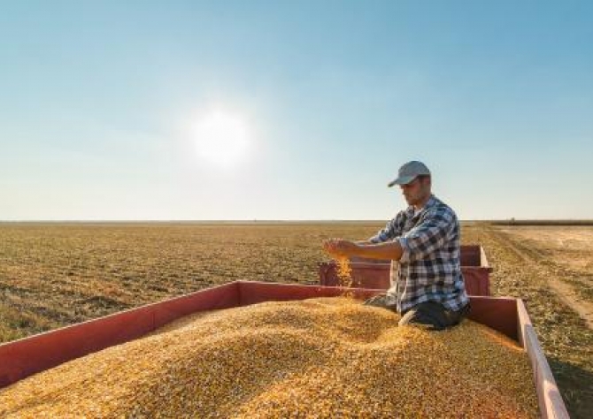 Agricultura contrata 40 mil empregados em um ano