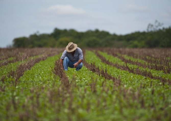 Argentina estende prazo para pagamento de subsídio a produtor de soja 