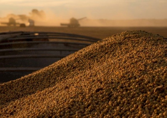 Argentina: rendimento médio da soja na Zona Núcleo está abaixo do esperado