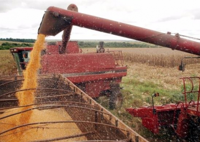 Balança comercial do agronegócio registra superávit de US$ 8,38 bilhões em maio