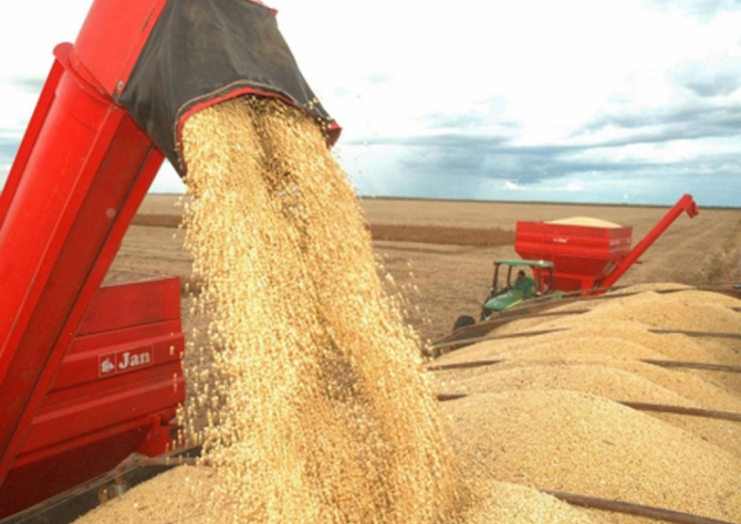 Bolsa de Buenos Aires traz novo recorte para safra de soja argentina: 42 mi t