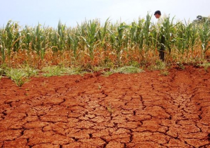 Cenário de seca se mantém na Argentina, trazendo complicações para soja e milho