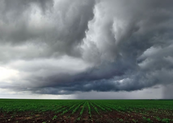 Chuva pode afetar colheita da soja na maior parte do Brasil; final de semana será divisor de águas