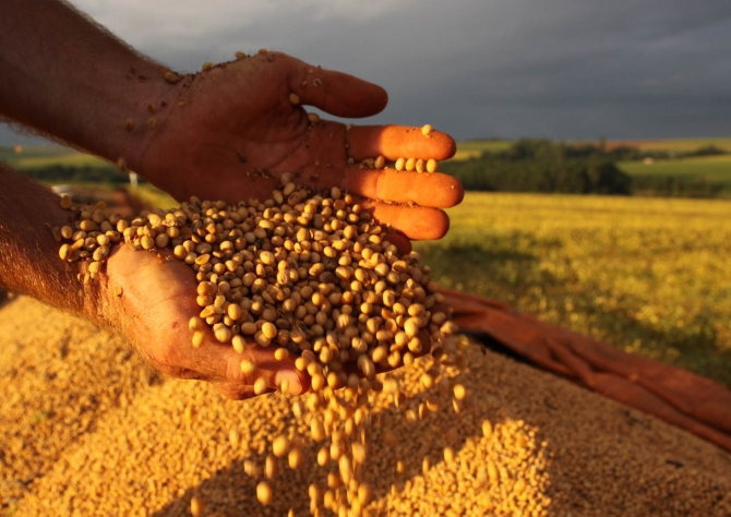 Clima reduz em 15% a safra de grãos no Paraná