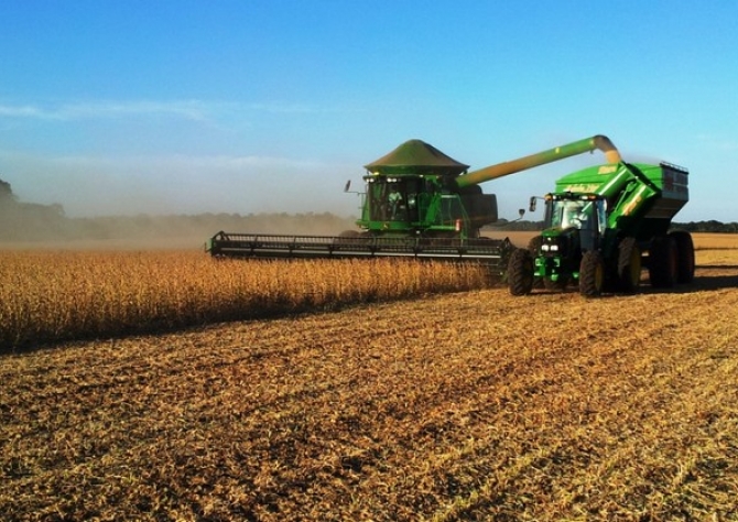 Colheita da soja chega a 5,1% da área cultivada em Mato Grosso do Sul, aponta entidade