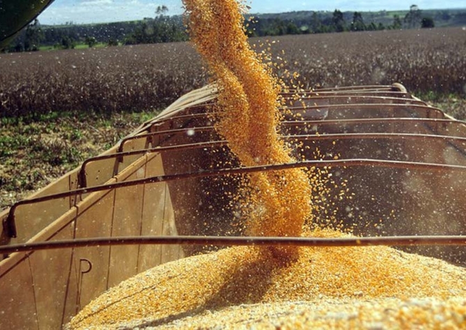 Colheita da soja se encaminha para o final em Cristalina com produtividade de 53/54 sacas por hectare