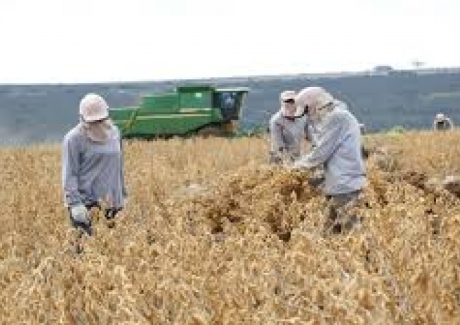 Colheita de soja no Brasil vai a 67% da área em 