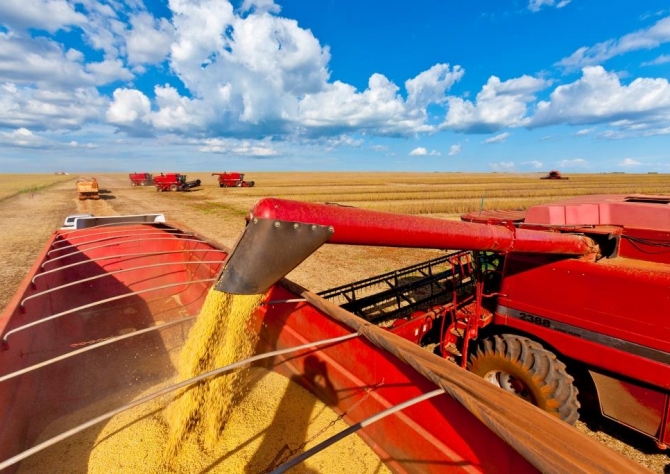 Começa a colheita de soja em Mato Grosso e Mato Grosso do Sul