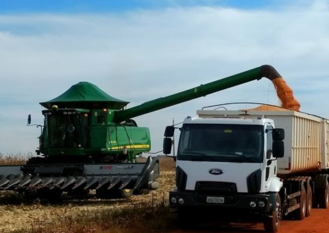 Conab disponibiliza armazéns em MS para estocagem da produção de milho