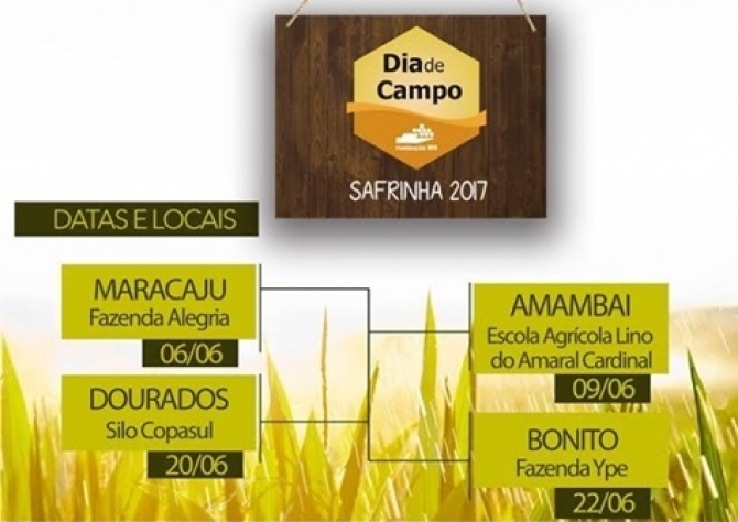 Dia de Campo em Maracaju apresenta novas tecnologias para milho safrinha