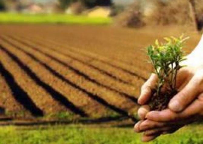 Do clima à logística, produtores iniciam plantio com alto grau de incerteza