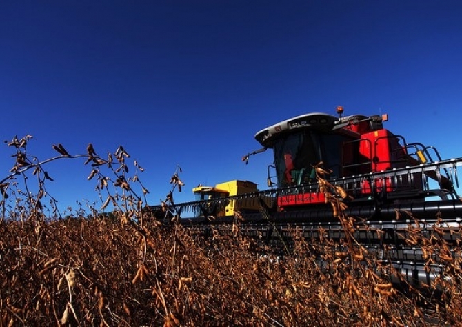 Estratégia do governo ampliará exportações do agronegócio brasileiro