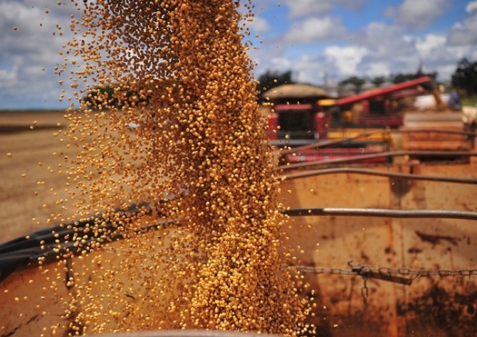 Exportação de soja do Brasil deve fechar 2018 em recorde de 82,5 mi t, diz Anec