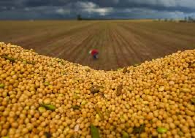 Exportações do Agronegócio sobem 6% em 12 meses e somam US $ 102,14 bilhões