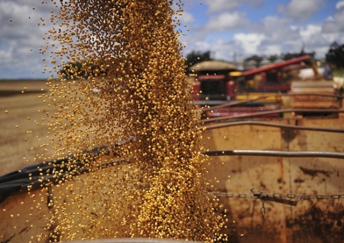 IPEA, MAPA e CEPEA firmam parceria e lançam carta de conjuntura agrícola