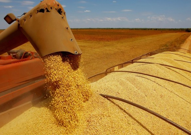 Mato Grosso esmaga 882 mil toneladas de soja no último mês e bate recorde mensal