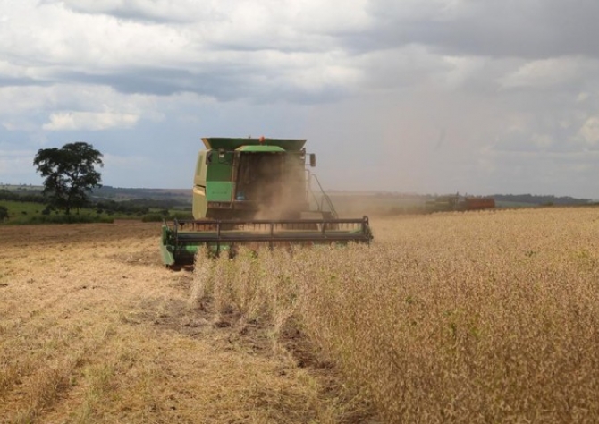 Mato Grosso já colheu 76,16% do milho