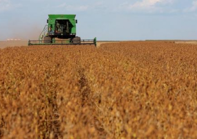 Mato Grosso lidera crescimento anual da produção de soja