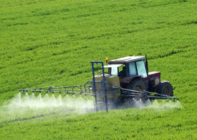 O uso do glifosato segue como tecnologia importante para o cultivo da soja mas não deve ser encarado como única alternativa