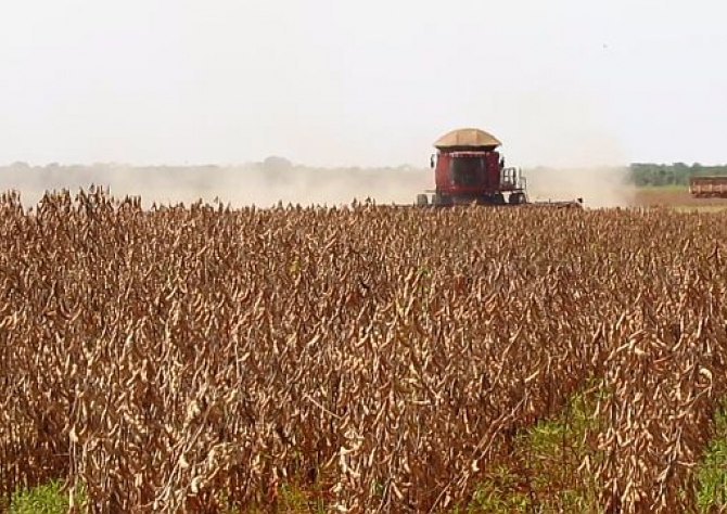 Paraguai deve superar recorde de produção de soja