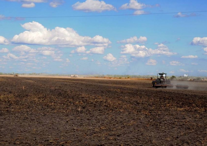 Paraná altera período do vazio sanitário da soja para 10 de junho a 10 de setembro