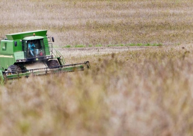 Plantio da soja chega a 80% no Sudoeste de Goiás e negócios futuros permanecem travados