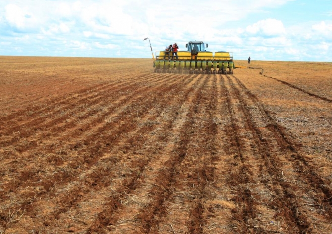 Plantio de soja no Brasil deve crescer 3% em 2018/19, prevê Datagro