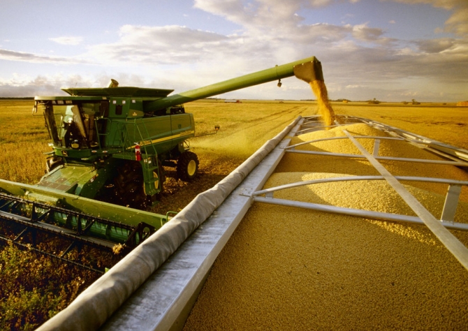 Preço da saca de soja sobe 2,11% em Mato Grosso do Sul na primeira semana de maio