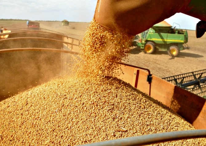 Produção recorde de soja deve garantir aumento de receita da agropecuária em MS em 2018