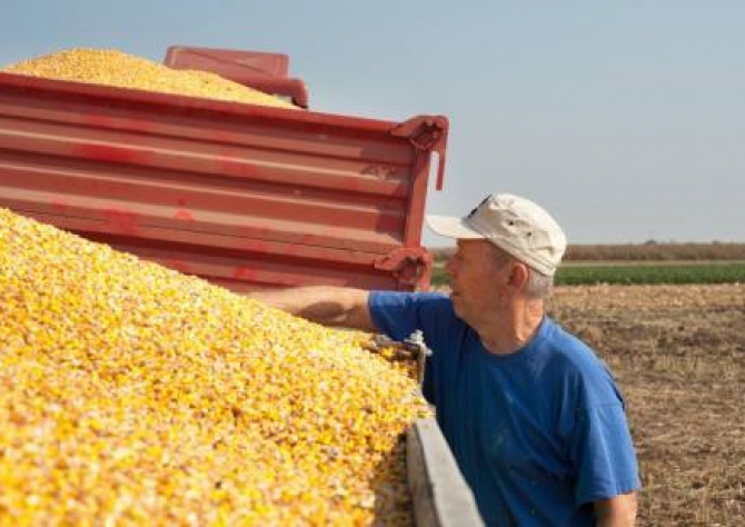 Produtores de milho dos EUA valorizam importância do Nafta