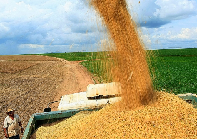 QUATRO ESTADOS CONCENTRAM QUASE 70% DA PRODUÇÃO DE GRÃOS DO PAÍS