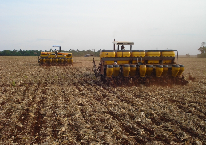 Quatro regiões de Mato Grosso iniciam plantio da soja