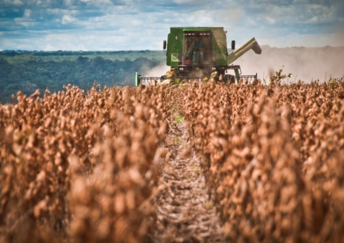 Saldo agrícola consolida produção de Mato Grosso