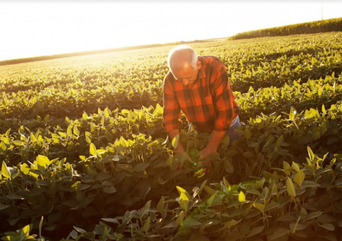 Seminário debate tecnologia e inovação no agronegócio