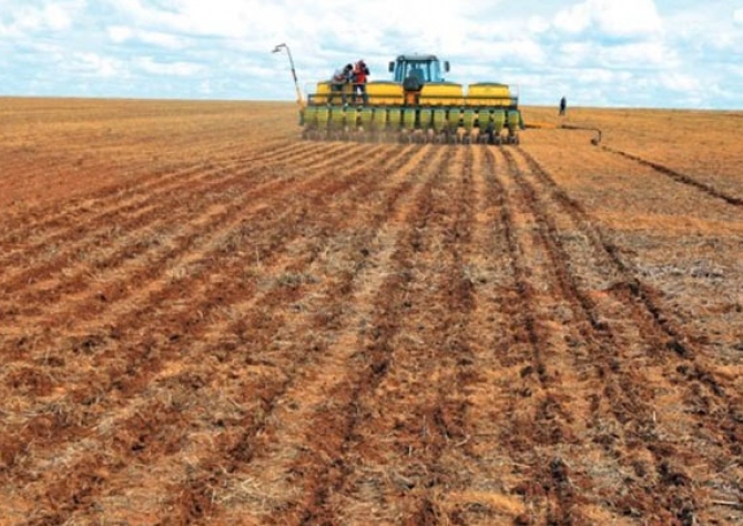 Soja: Atentos ao clima, produtores de Lucas do Rio Verde (MT) já semearam 4% da área prevista para essa safra