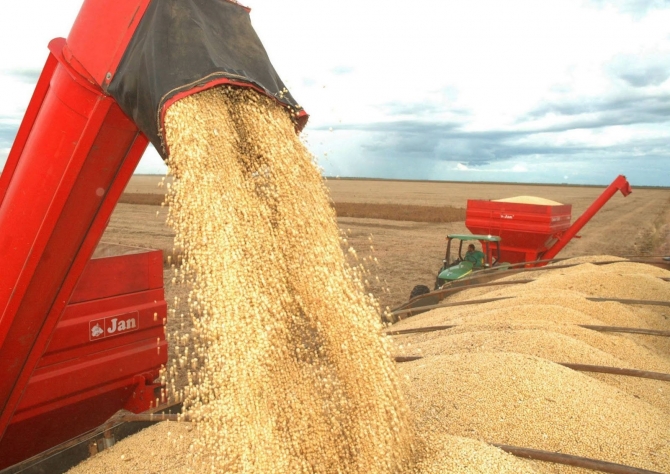  Soja: Especulação climática no Meio-Oeste americano abre oportunidade para produtor brasileiro