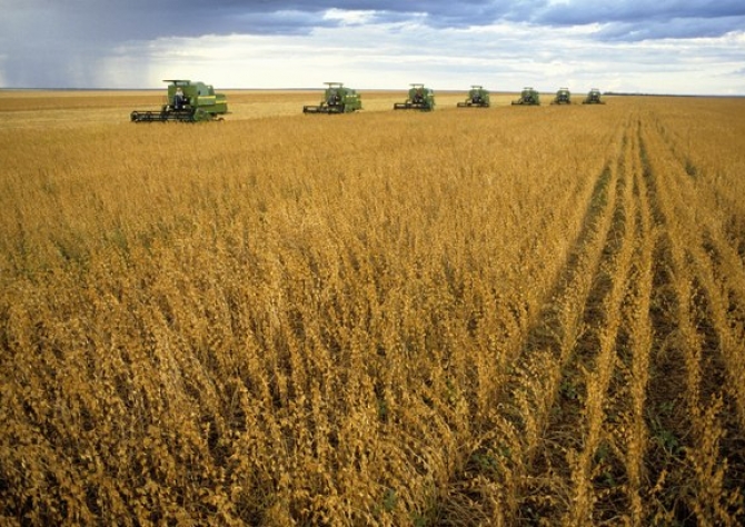 Soja: Mercado observa clima nos EUA, espera pelo USDA e opera estável em Chicago nesta 3ª