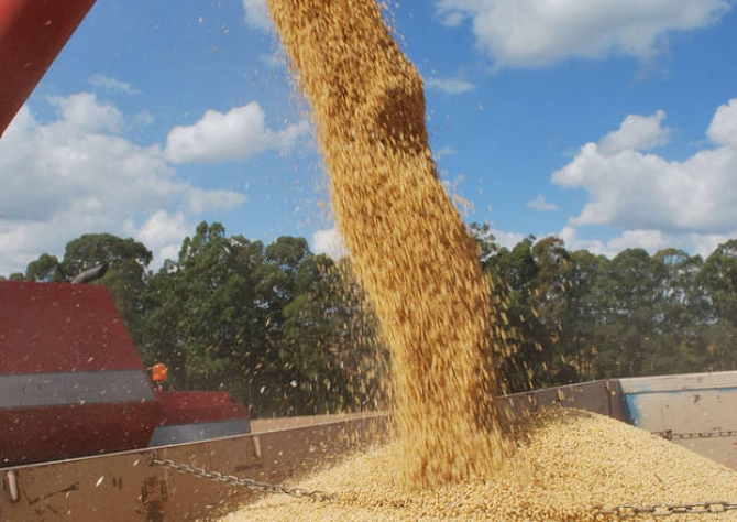 Soja segue em alta nesta 5ª na CBOT se preparando para o USDA e com suporte no trigo