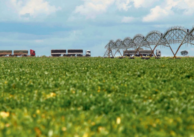 Soja: USDA eleva para 61% o índice de lavouras em boas ou excelentes condições nos EUA