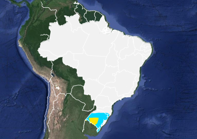 Tempo: Frio volta com força ao Sul neste início de semana com previsão de geadas nesta 2ª feira