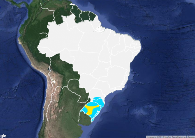 Tempo: Sul do Brasil registra temperatura abaixo de zero na 4ª feira e geadas localizadas; chuvas retornam após frio