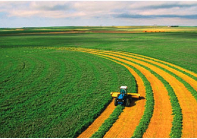 Valor da Produção Agropecuária pode atingir R$ 545,9 bilhões em 2017